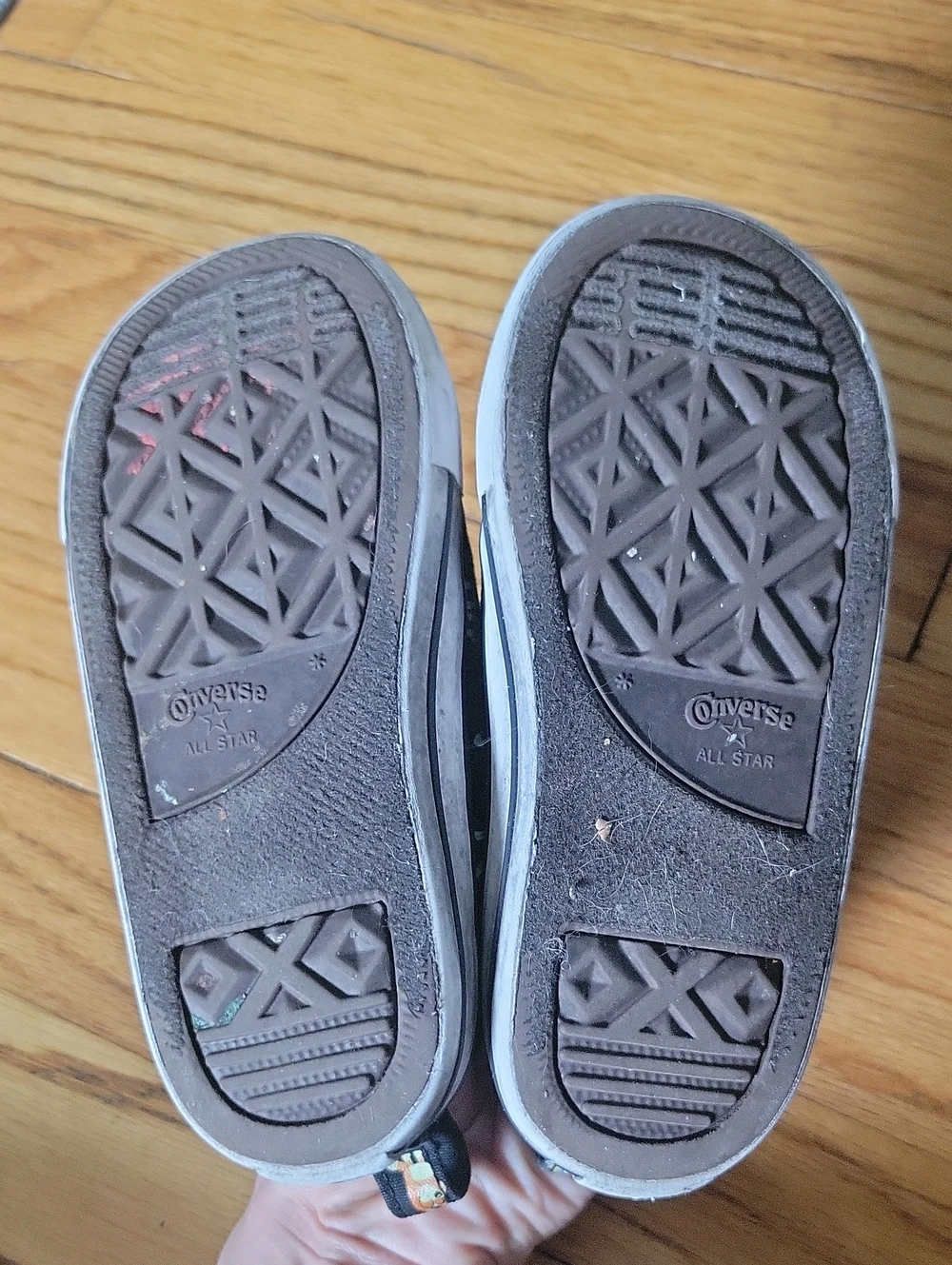 Converse bluey sneakers